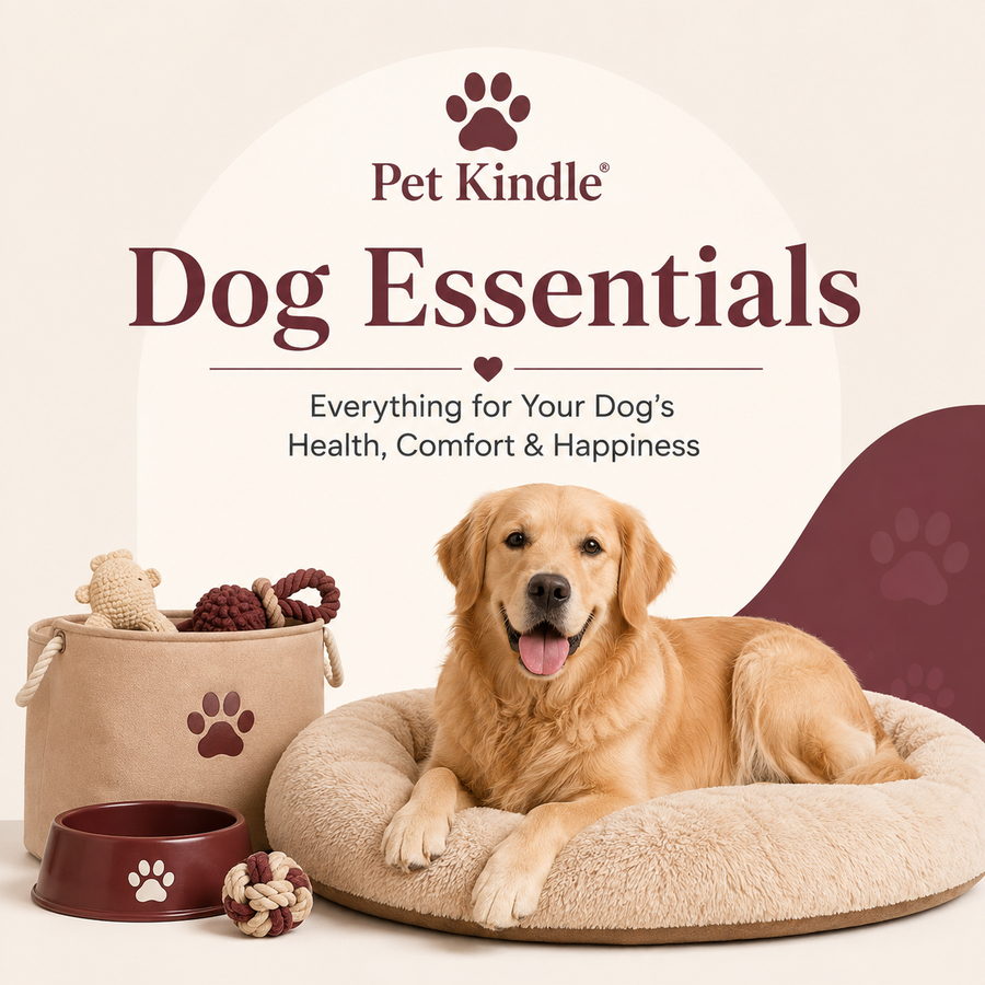 Dog Essentials