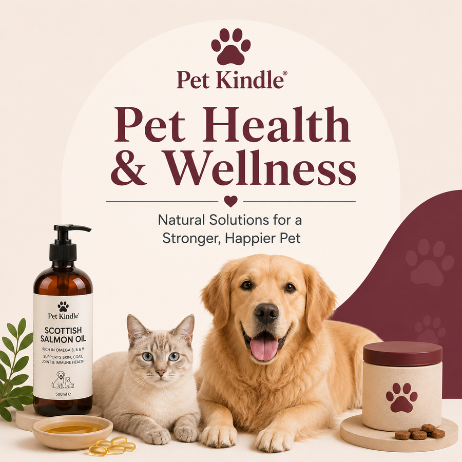 Pet Health & Wellness