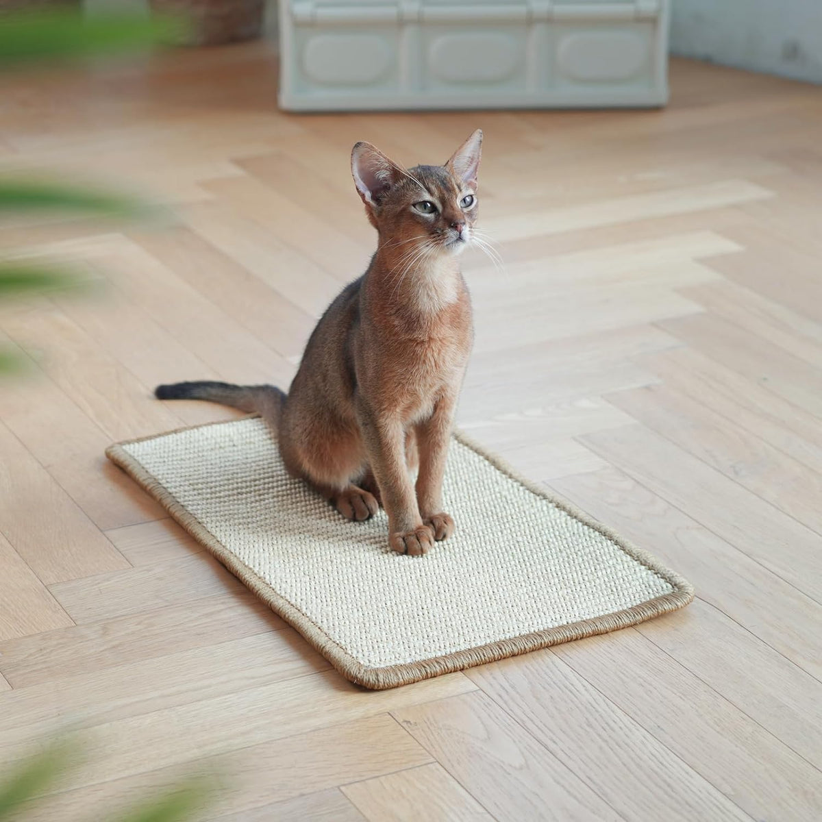 Pet Kindle Cat Scratcher Mat – Natural Sisal, 30 × 50cm